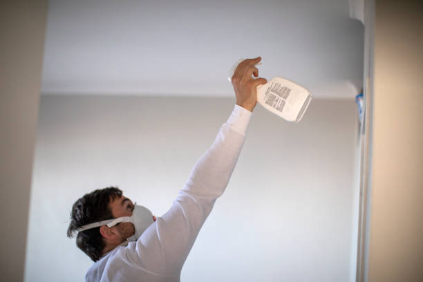 Best Insurance-Related Mold Remediation in Henderson, LA